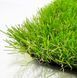 Ландшафтная трава EcoGrass J-40 (ширина рулона 4 м)