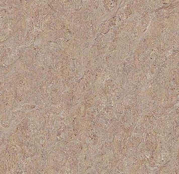 Лінолеум Forbo Marmoleum Terra 5804
