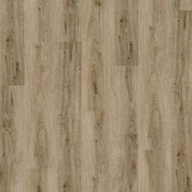 Вінілова підлога Tru Stone Glue Down Core FC29098-4