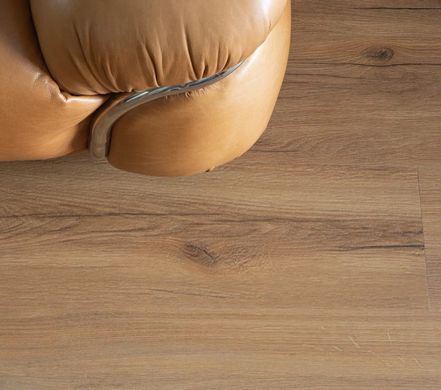 Вінілова підлога клейова Vinilam 2,5 мм Дуб Кадіс 33037