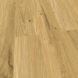Вінілова підлога Falquon The Floor Wood Dryback Honey Oak P7001