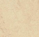 Линолеум Forbo Marmoleum Real 2713
