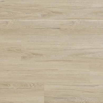Вінілова пiдлога Arbiton Woodric Mineral DryBack DW 209