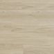 Вінілова пiдлога Arbiton Woodric Mineral DryBack DW 209 - 1