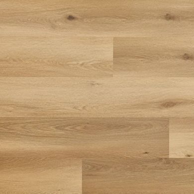 Вінілова пiдлога Arbiton Woodric Mineral DryBack DW 210