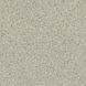 Лінолеум Beauflor Strong Plus Patio 967L (ширина 3м)