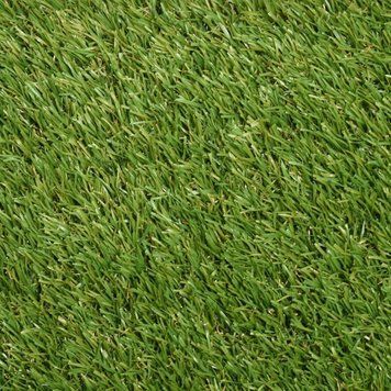 Ландшафтна трава Turfgrass Yadira (ширина рулона 1 м)