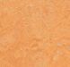 Лінолеум Forbo Marmoleum Sport 83208 (товщина 4 мм)