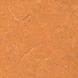 Лінолеум Forbo Marmoleum Sport 83176 (товщина 4 мм)