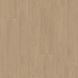 Вінілова підлога клейова Gerflor VIRTUO 55 DryBack BLOMMA NATURAL EIR 1465 - 1