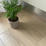 Ламинат Alsafloor Homflor Distingo V4 WR 5G Дуб Натуральный HD450