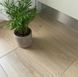 Ламинат Alsafloor Homflor Distingo V4 WR 5G Дуб Натуральный HD450